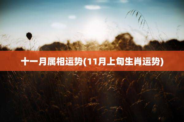 十一月属相运势(11月上旬生肖运势)