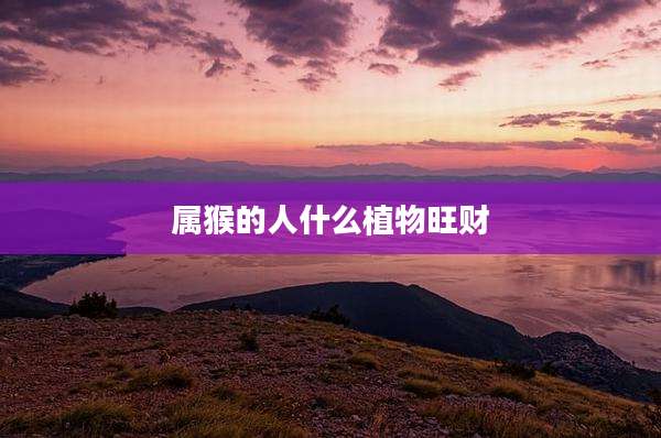 属猴的人什么植物旺财