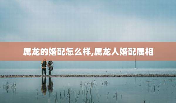 属龙的婚配怎么样,属龙人婚配属相