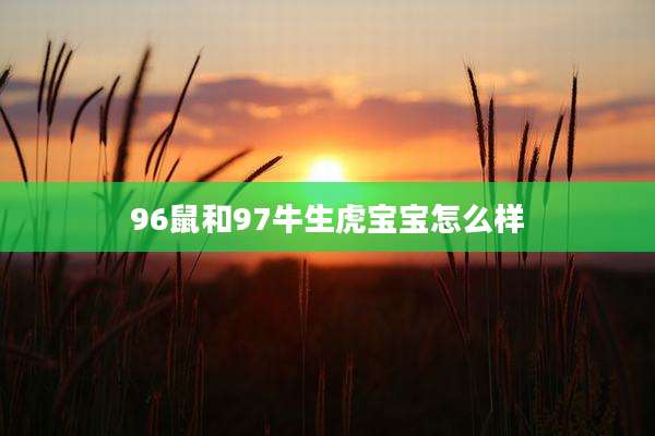 96鼠和97牛生虎宝宝怎么样