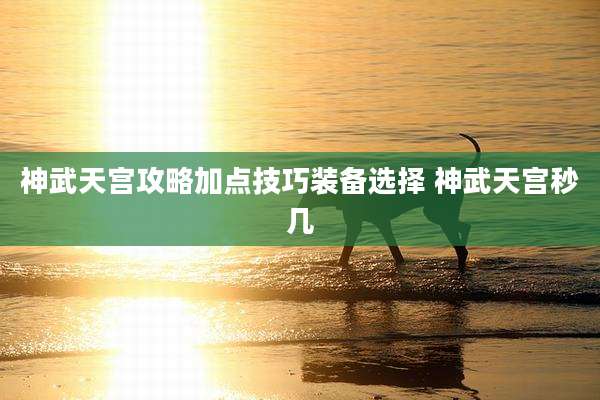 神武天宫攻略加点技巧装备选择 神武天宫秒几