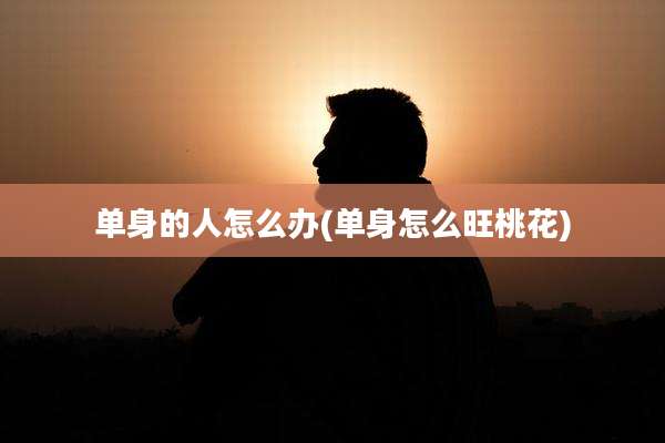 单身的人怎么办(单身怎么旺桃花)