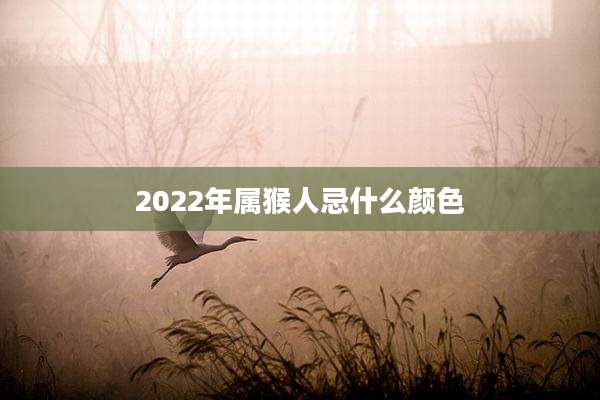 2022年属猴人忌什么颜色