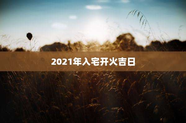 2021年入宅开火吉日