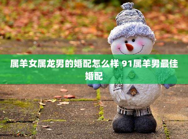 属羊女属龙男的婚配怎么样 91属羊男最佳婚配
