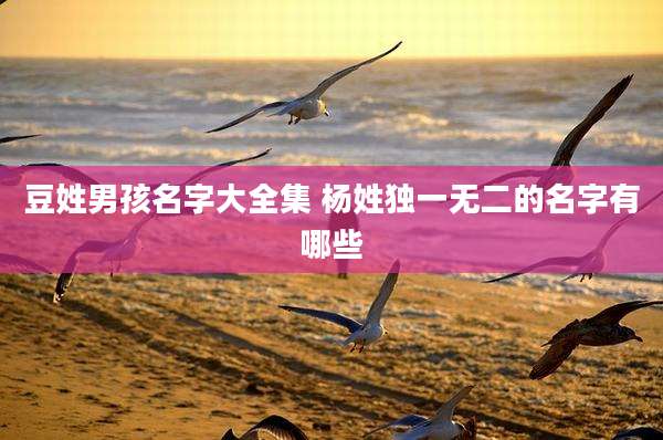 豆姓男孩名字大全集 杨姓独一无二的名字有哪些