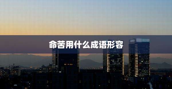命苦用什么成语形容