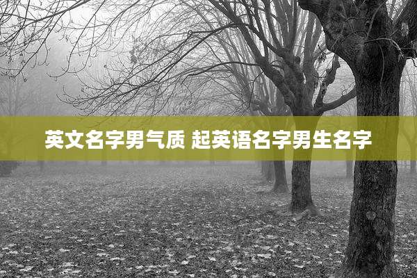 英文名字男气质 起英语名字男生名字
