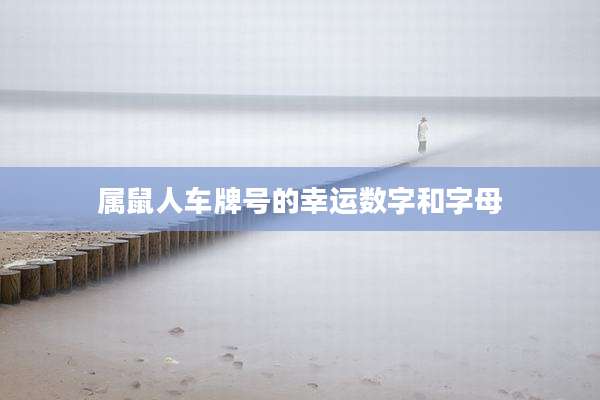 属鼠人车牌号的幸运数字和字母