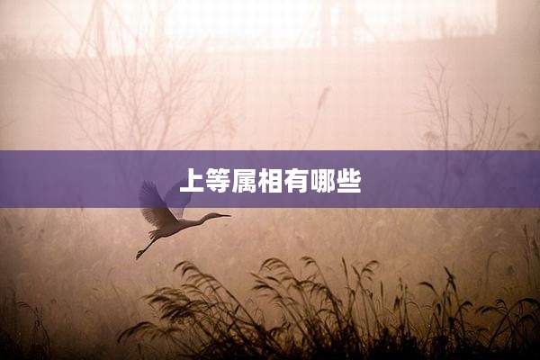上等属相有哪些