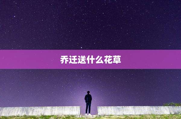 乔迁送什么花草