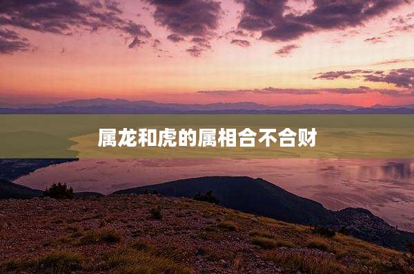属龙和虎的属相合不合财