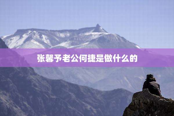 张馨予老公何捷是做什么的