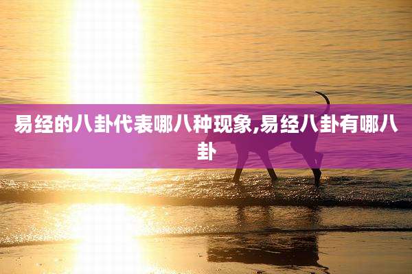 易经的八卦代表哪八种现象,易经八卦有哪八卦