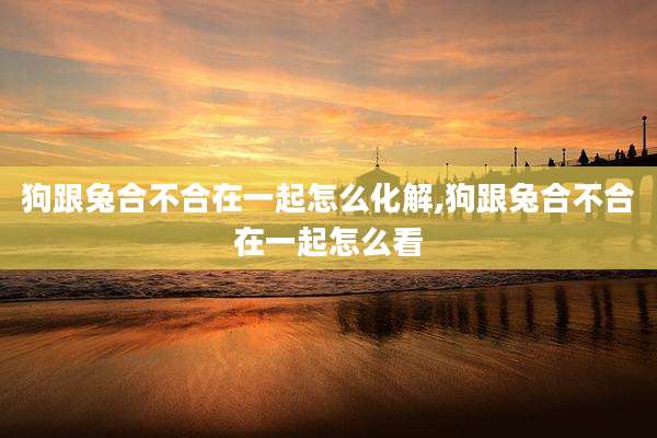 狗跟兔合不合在一起怎么化解,狗跟兔合不合在一起怎么看