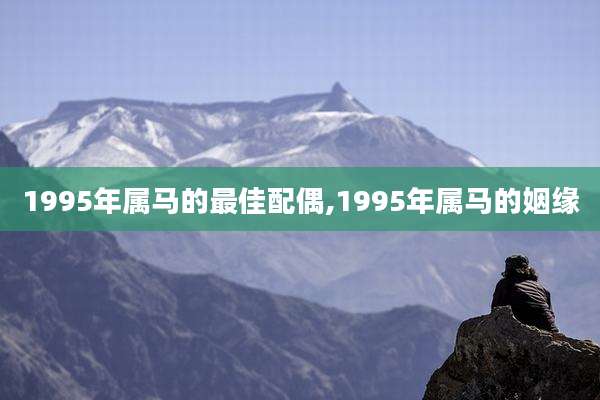 1995年属马的最佳配偶,1995年属马的姻缘