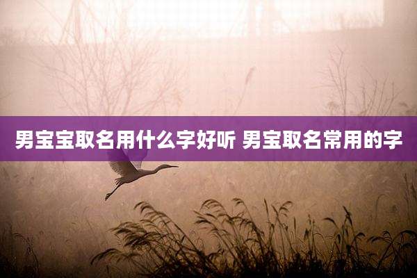 男宝宝取名用什么字好听 男宝取名常用的字