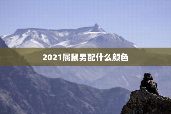 2021属鼠男配什么颜色