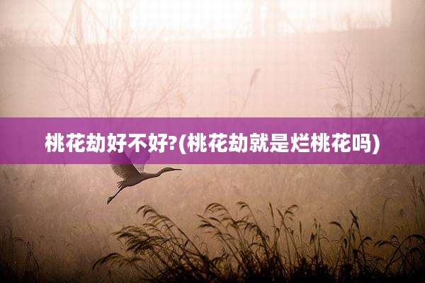 桃花劫好不好?(桃花劫就是烂桃花吗)