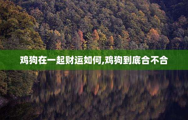 鸡狗在一起财运如何,鸡狗到底合不合