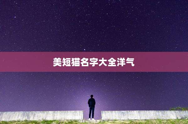 美短猫名字大全洋气