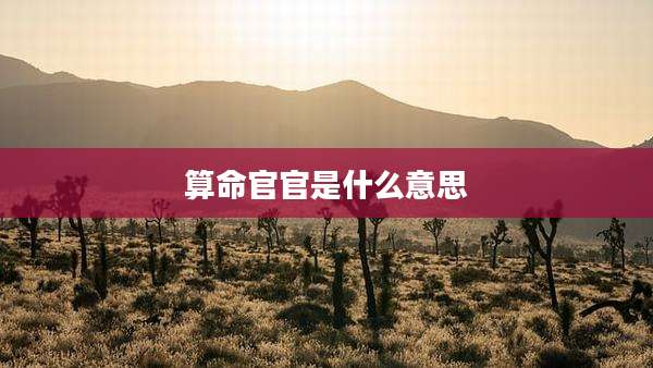 算命官官是什么意思