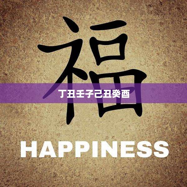 丁丑壬子己丑癸酉