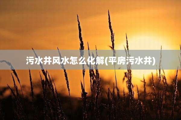 污水井风水怎么化解(平房污水井)