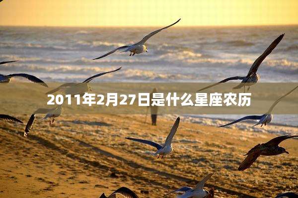 2011年2月27日是什么星座农历
