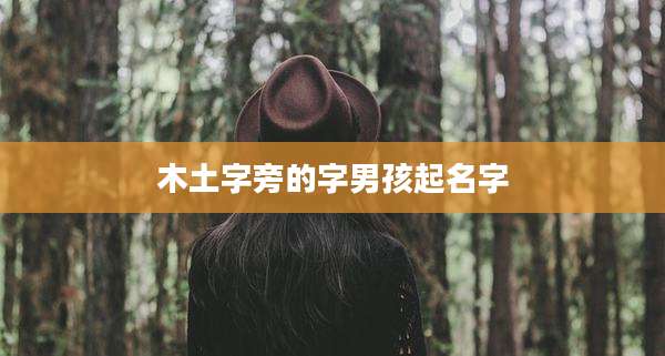 木土字旁的字男孩起名字