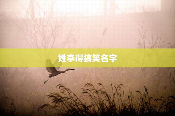 姓李得搞笑名字