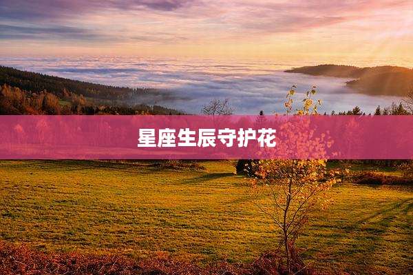 星座生辰守护花