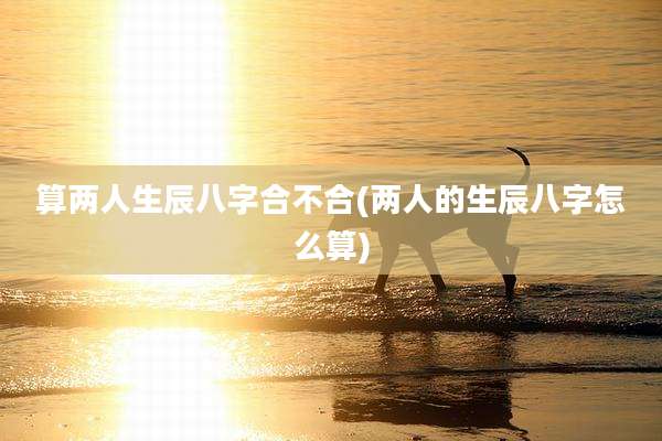 算两人生辰八字合不合(两人的生辰八字怎么算)