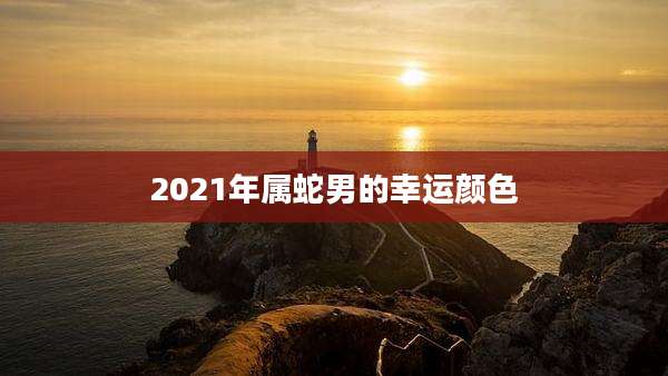 2021年属蛇男的幸运颜色