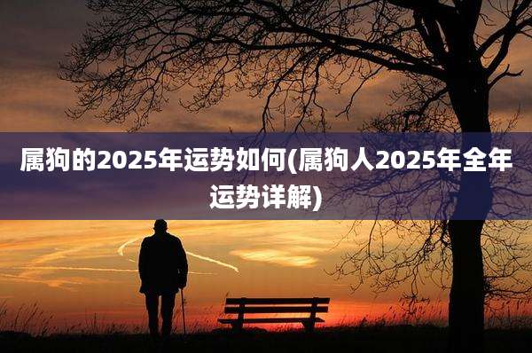 属狗的2025年运势如何(属狗人2025年全年运势详解)