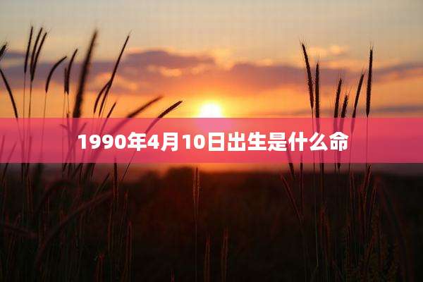 1990年4月10日出生是什么命