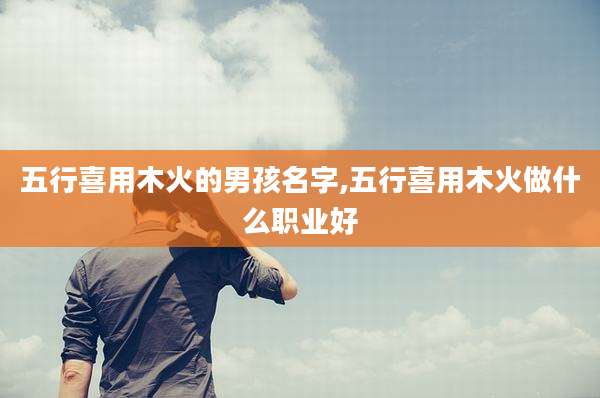 五行喜用木火的男孩名字,五行喜用木火做什么职业好
