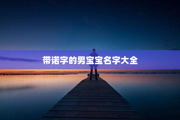 带诺字的男宝宝名字大全