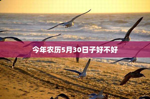 今年农历5月30日子好不好