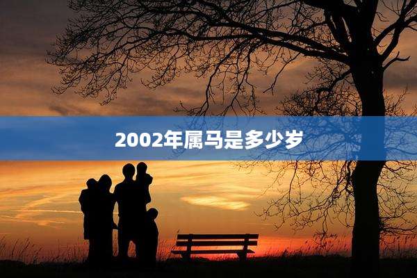 2002年属马是多少岁