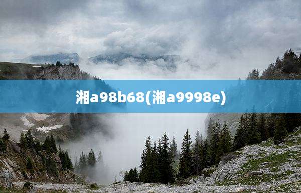湘a98b68(湘a9998e)