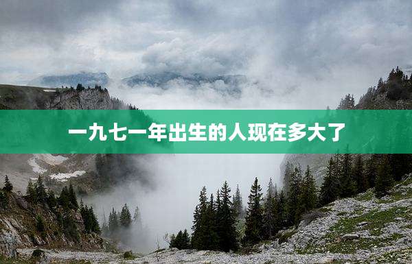 一九七一年出生的人现在多大了