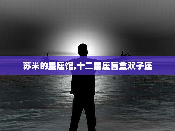 苏米的星座馆,十二星座盲盒双子座