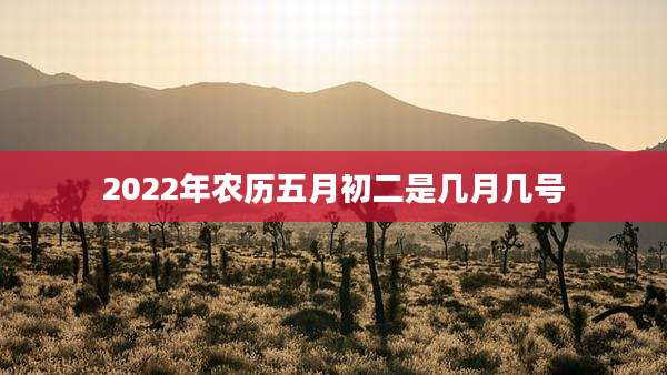 2022年农历五月初二是几月几号