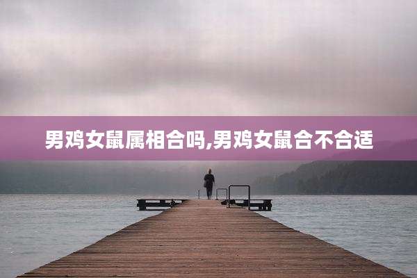 男鸡女鼠属相合吗,男鸡女鼠合不合适