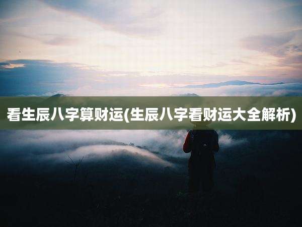 看生辰八字算财运(生辰八字看财运大全解析)