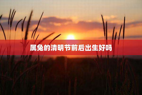 属兔的清明节前后出生好吗