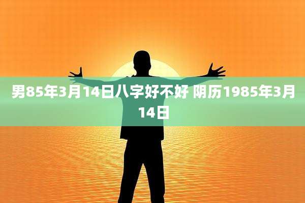 男85年3月14日八字好不好 阴历1985年3月14日