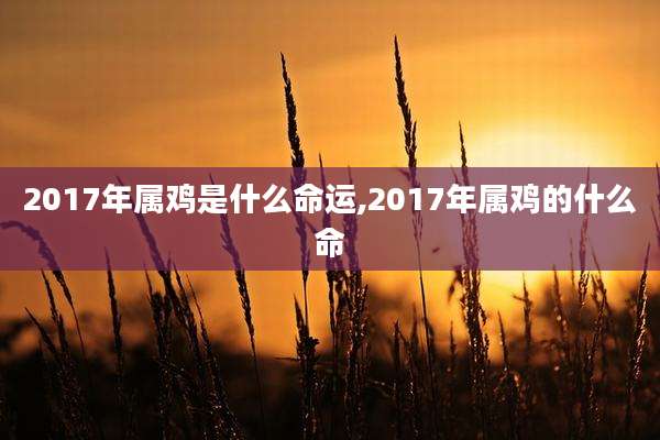 2017年属鸡是什么命运,2017年属鸡的什么命