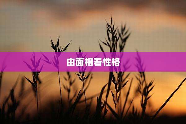 由面相看性格